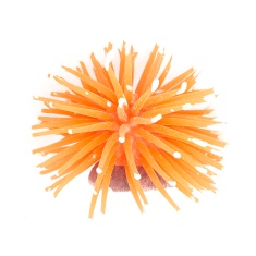 Enfeite Maxxi Anêmona Laranja - 7cm