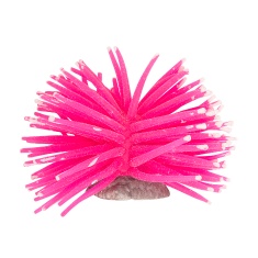 Enfeite Maxxi Anêmona Pink - 7cm