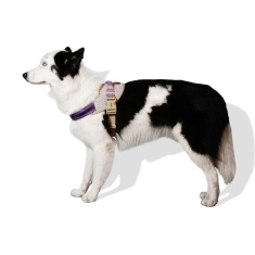 Peitoral Zee.Dog FlyHarness ACG para Cães