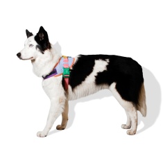 Peitoral Zee.Dog FlyHarness Galaxy para Cães