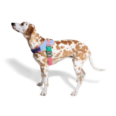 Peitoral Zee.Dog FlyHarness Galaxy para Cães