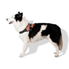 Peitoral Zee.Dog FlyHarness Vortex para Cães