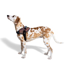 Peitoral Zee.Dog FlyHarness Vortex para Cães
