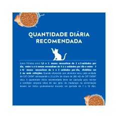 Ração Úmida Cat Chow para Gatos Filhotes Sabor Frango 85g