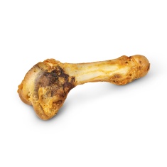 Osso Fêmur Suíno Natural Churraspet para Cães