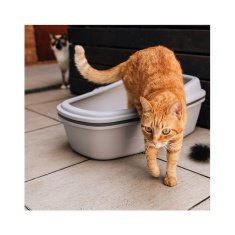 Bandeja Sanitária Plast Pet Furba Cinza para Gatos Tamanho G