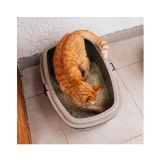 Bandeja Sanitária Plast Pet Furba Taupe para Gatos