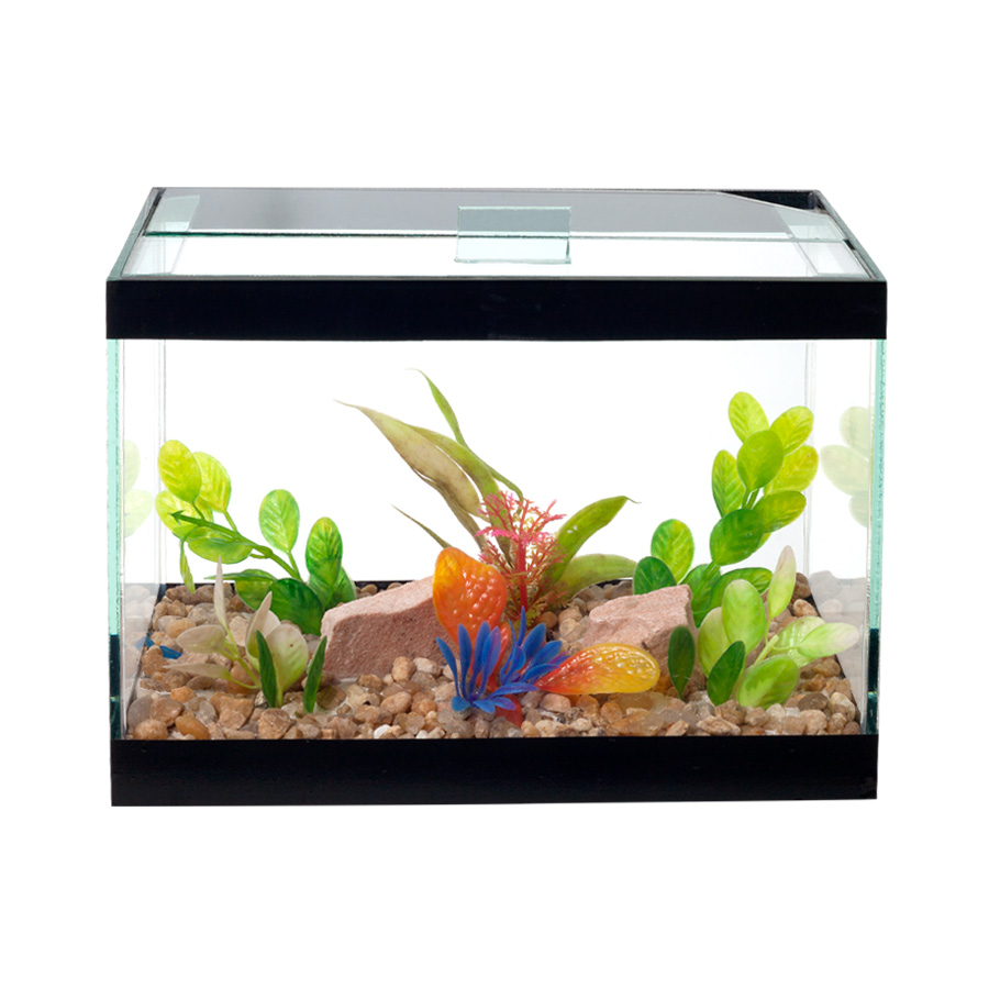 Beteira Lester Jardim 3 L para Peixes