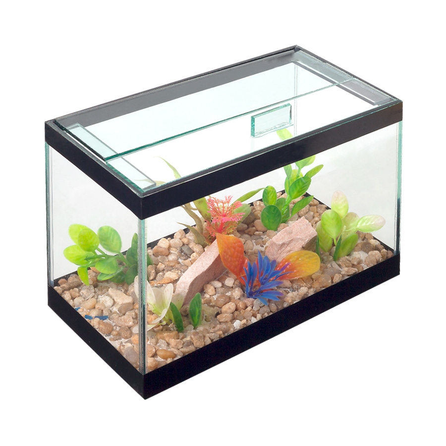 Beteira Lester Jardim 3 L para Peixes