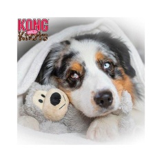 Brinquedo Kong Wild Knots Bears para Cães - Cores Sortidas