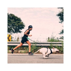 Cinto de Correr Zee.Run Tamanho P