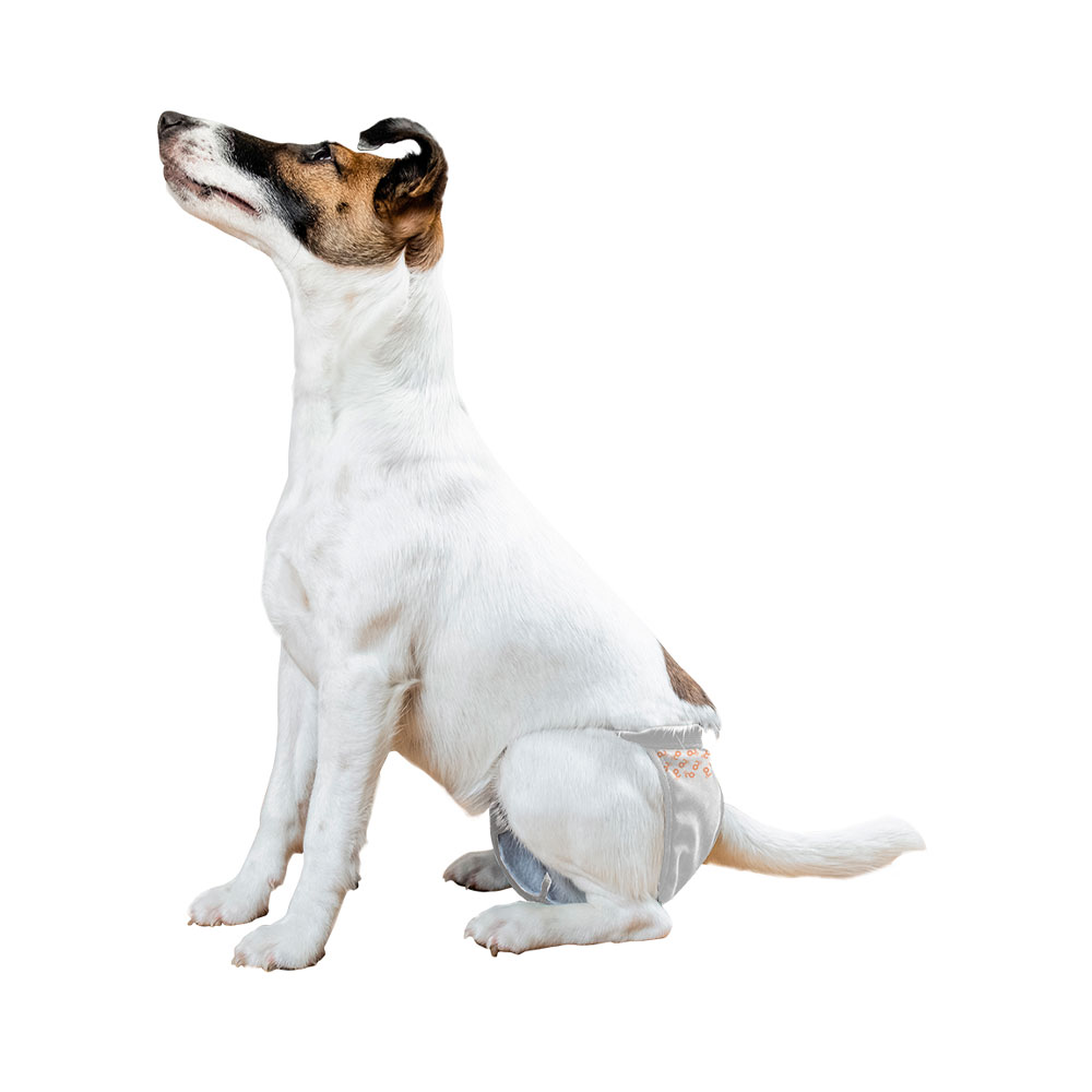 Fralda Higiênica Mimo Diaper para Cães Fêmeas 12 unidades