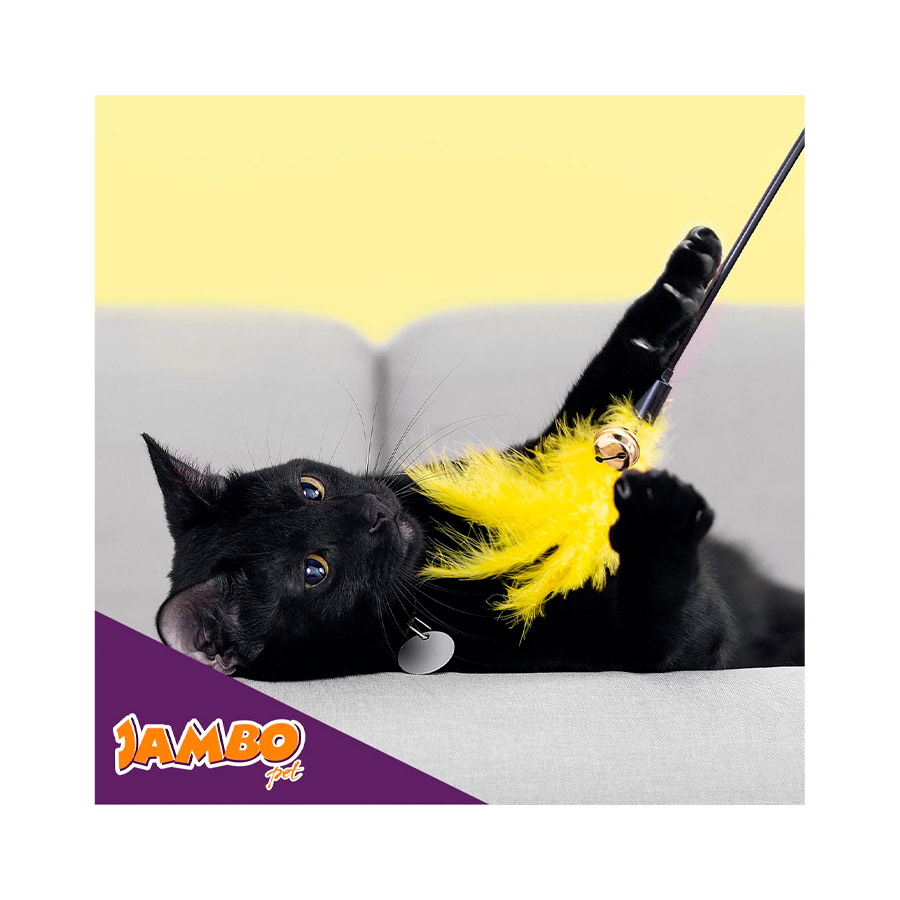 Brinquedo Jambo Varinha Pena Arco-Íris com Sino Amarelo para Gatos