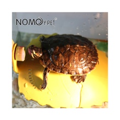 Deck Nomoy Pet Folha com Ventosa