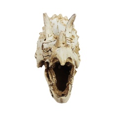 Enfeite Nomoy Pet Cranio Tricepat