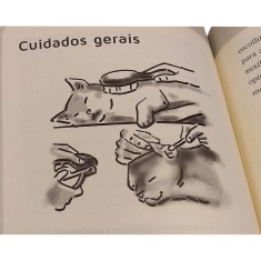 Livro Os Segredo dos Gatos por Alexandre Rossi e Paula Itikawa
