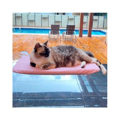 Cama de Janela PetLon Rosa para Gatos