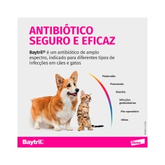 Baytril Flavour 150mg com 10 comprimidos