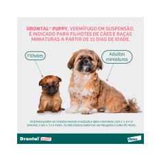 Vermífugo Drontal Puppy para Cães - 20 ml