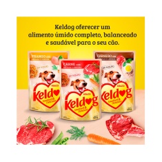 Ração Úmida Keldog Sachê para Cães Sabor Carne com Ervilha e Cenoura 100g