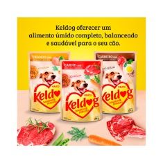 Ração Úmida Keldog Sachê para Cães Sabor Carneiro com Brócolis e Linhaça 100g