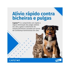 Antipulgas Elanco Capstar 11mg para Cães e Gatos de até 11kg