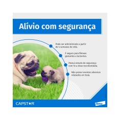 Antipulgas Elanco Capstar 57mg para Cães de 11 a 57kg