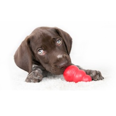 Brinquedo Kong Classic Vermelho para Cães