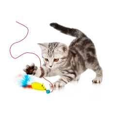 Brinquedo Líder Varinha Ratinho com Penas para Gatos - Cores Sortidas