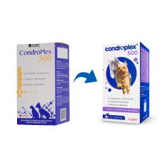 Suplemento Avert Condroplex 500 com 60 Cápsulas