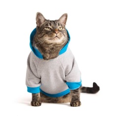 Moletom Cansei de Ser Gato Cinza e Azul