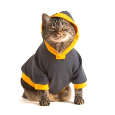 Moletom Cansei de Ser Gato Grafite e Amarelo para Gatos