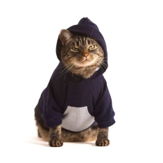 Moletom Cansei de Ser Gato Canguru Preto para Gatos