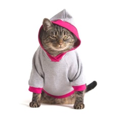 Moletom Cansei de Ser Gato Cinza e Rosa