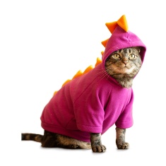 Fantasia de Dinossauro Cansei de Ser Gato Roxa