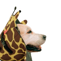Colar Elizabetano Confort Pet Girafa para Cães