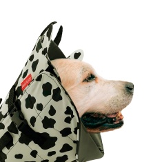 Colar Elizabetano Confort Pet Vaquinha para Cães