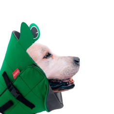 Colar Elizabetano Confort Pet Sapo para Cães