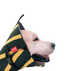 Colar Elizabetano Confort Pet Abelha para Cães