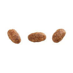 Ração Granplus para Gatos Adultos Sabor Frango e Arroz