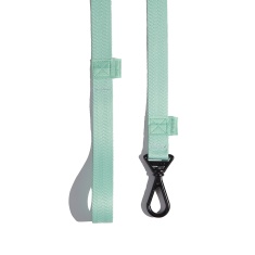 Guia Petz Pastel Mint para Cães