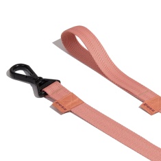 Guia Petz Pastel Salmon para Cães