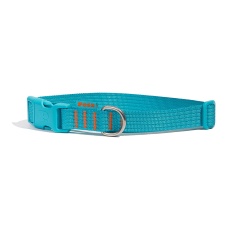 Coleira Petz Flúor Blue para Cães