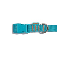 Coleira Petz Flúor Blue para Cães
