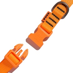 Coleira Petz Flúor Orange para Cães