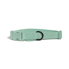 Coleira Petz Pastel Mint para Cães