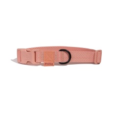 Coleira Petz Pastel Salmon para Cães