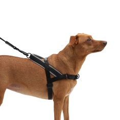 Peitoral Anti Puxão Zee.Dog SofterWalk Gotham para Cães