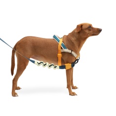Peitoral Anti Puxão Zee.Dog SofterWalk Voyage para Cães