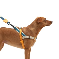 Peitoral Anti Puxão Zee.Dog SofterWalk Voyage para Cães